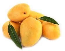 Fresh Mangoes