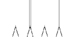 Iso Amyl Butyrate CAS No. 106-27-4