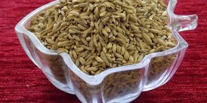 Feenal Salty  (Roasted)