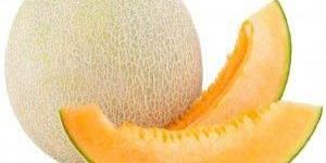 Fresh Muskmelon