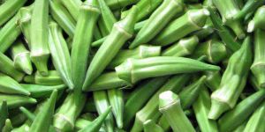 Fresh Okra