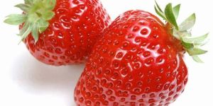 Fresh Strawberry