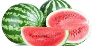 Fresh Watermelon
