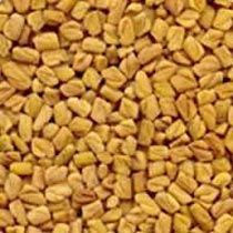 Fenugreek Seeds