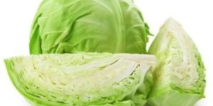 Fresh Cabbage