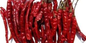 Dried Red Chilli