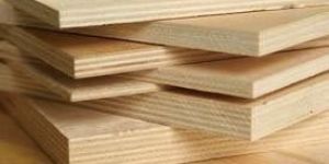 Veneer Plywood