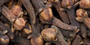 Cloves