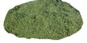 Fenugreek Powder