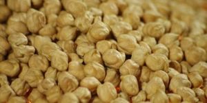 White Chickpeas