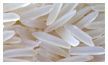 Basmati Rice