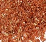 Organic Red Rice