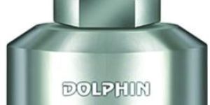 Plumbo - Mason Tools