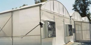 Fan & Pad Greenhouse Construction