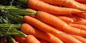 Fresh Carrot
