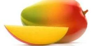 Fresh Mango