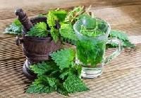 Mother Tinctures