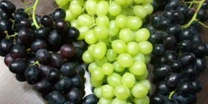 Grapes