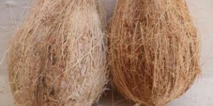 Husked Coconut