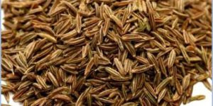 Cumin Seeds