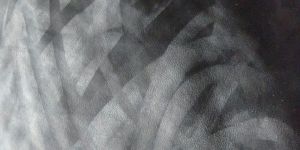 Cow Nubuck Finish Leather