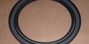 Oil Seal for Swing Leaver