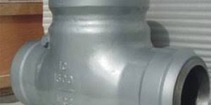 Leader Check Valve
