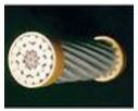 ACSR Cable
