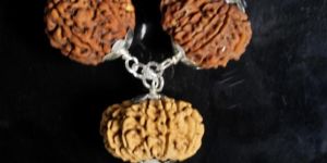 Rudraksh Power Combination