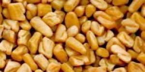 Fenugreek Seeds
