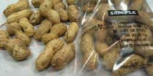 Shelled Groundnuts