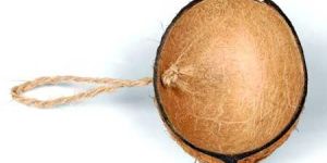 Coconut Shell Bird Feeders1