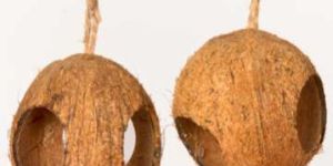 Coconut Shell Bird Houses1