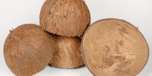 Coconut Shell Products