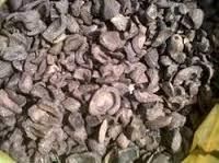 Palm Kernel Shell