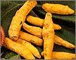 Turmeric Finger