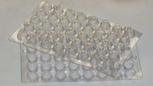 Thermoformed Trays Cavity