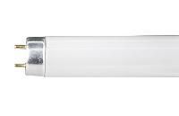 Tubular Fluorescent Lamps