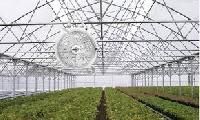 Fan Greenhouses