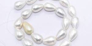 White Shell Pearl Beads