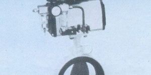 Pneumatic Butterfly Valve