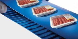 Food Grade Conveyors