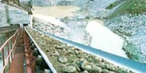 Heavy Duty Conveyors