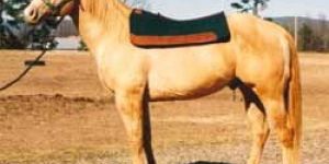 Felt Saddle Pad