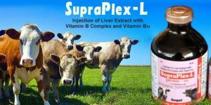 Liver Extract Injection