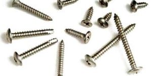 Stainless Steel Screws
