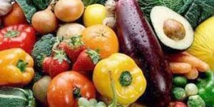 Organic Processed Food Ofd - 01