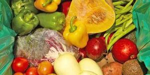 Organic Processed Food Ofd - 03