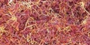 Kashmire Lacha Saffron