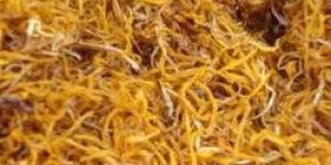 Kashmire Pati Saffron